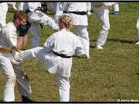2011 06 26 4119-border
